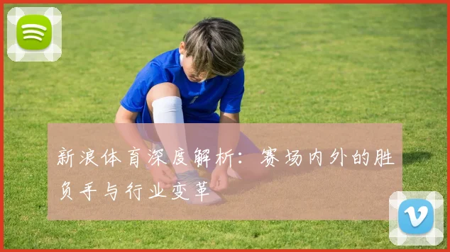 新浪体育深度解析：赛场内外的胜负手与行业变革