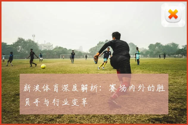 新浪体育深度解析：赛场内外的胜负手与行业变革